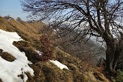 Monte Suchello (1541 m) da Aviatico (1080 m) il 20 febbraio 2019 - FOTOGALLERY
